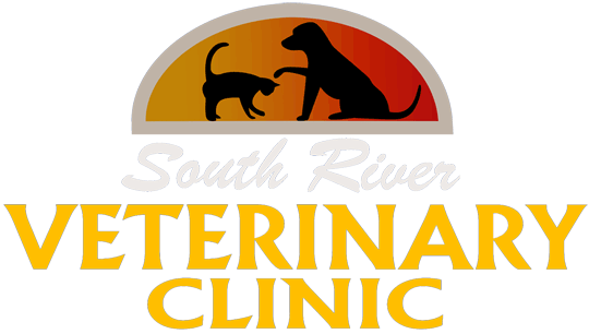 South River Veterinary Clinic